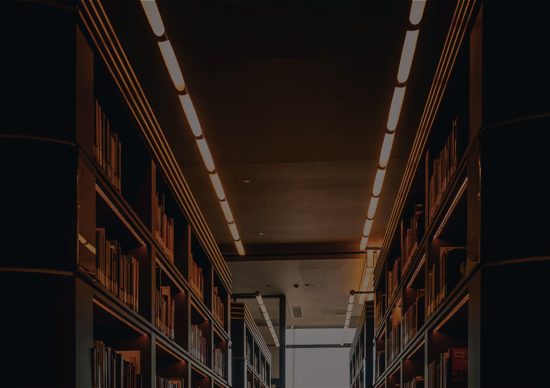 Whitepaper Bib